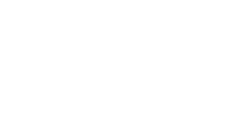 Ace Hardware