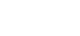 Prime 504